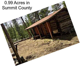 0.99 Acres in Summit County