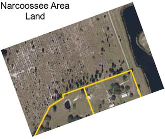 Narcoossee Area Land