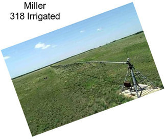 Miller 318 Irrigated