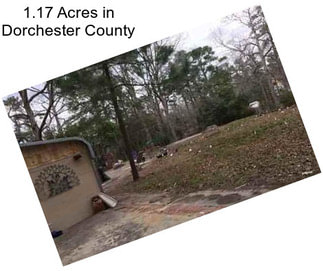 1.17 Acres in Dorchester County