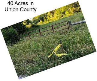 40 Acres in Union County