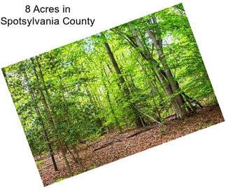 8 Acres in Spotsylvania County