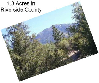 1.3 Acres in Riverside County