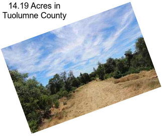 14.19 Acres in Tuolumne County