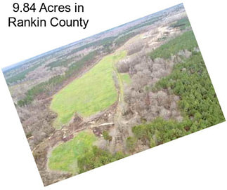 9.84 Acres in Rankin County