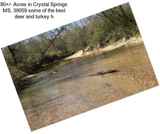 80+/- Acres in Crystal Springs MS, 39059 some of the best deer and turkey h