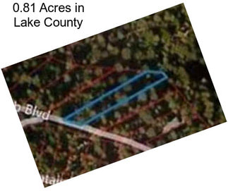 0.81 Acres in Lake County