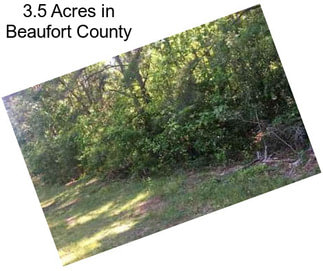 3.5 Acres in Beaufort County