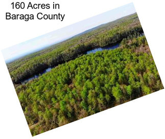 160 Acres in Baraga County