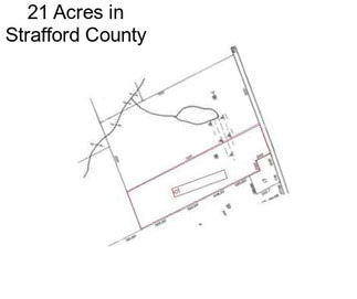 21 Acres in Strafford County
