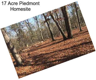 17 Acre Piedmont Homesite