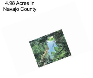 4.98 Acres in Navajo County