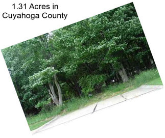 1.31 Acres in Cuyahoga County