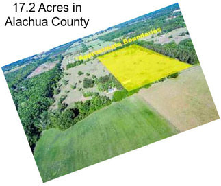 17.2 Acres in Alachua County