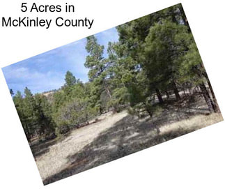 5 Acres in McKinley County