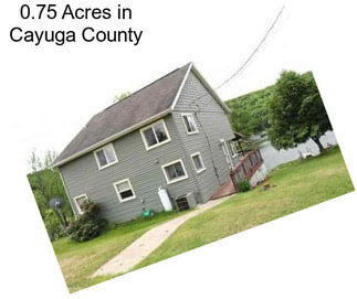 0.75 Acres in Cayuga County