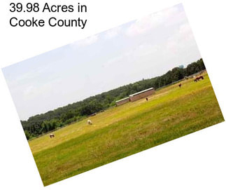 39.98 Acres in Cooke County