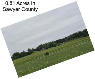 0.81 Acres in Sawyer County