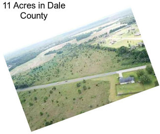 11 Acres in Dale County