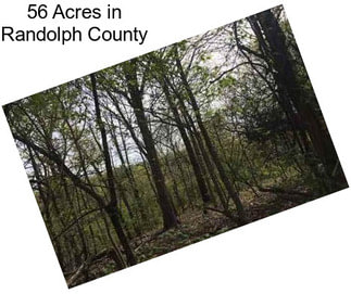 56 Acres in Randolph County