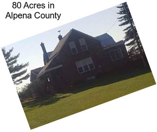 80 Acres in Alpena County