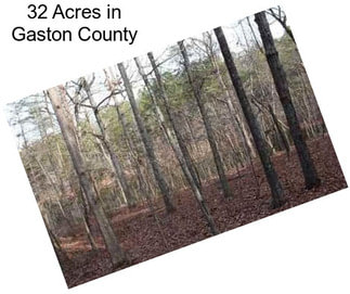 32 Acres in Gaston County