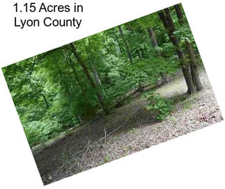 1.15 Acres in Lyon County