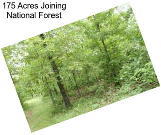 175 Acres Joining National Forest