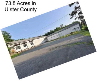 73.8 Acres in Ulster County