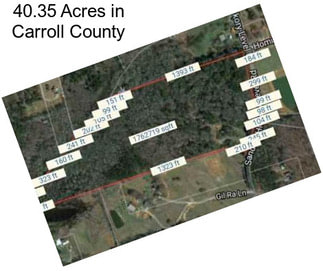 40.35 Acres in Carroll County