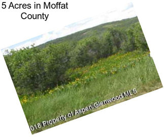 5 Acres in Moffat County