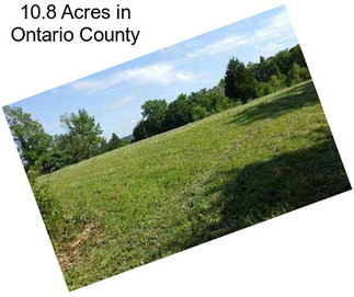 10.8 Acres in Ontario County