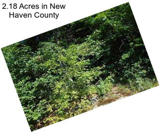 2.18 Acres in New Haven County