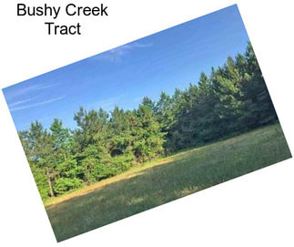 Bushy Creek Tract