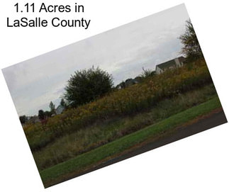 1.11 Acres in LaSalle County