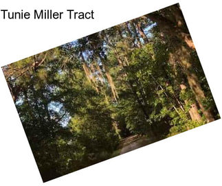Tunie Miller Tract