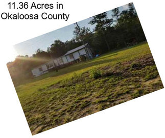 11.36 Acres in Okaloosa County