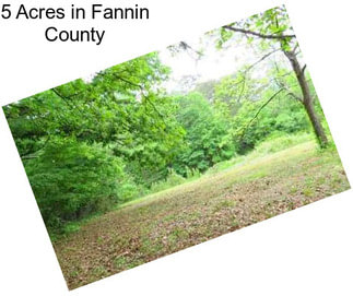 5 Acres in Fannin County