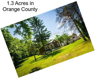 1.3 Acres in Orange County