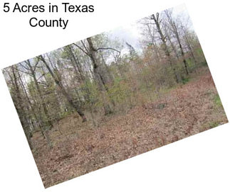 5 Acres in Texas County
