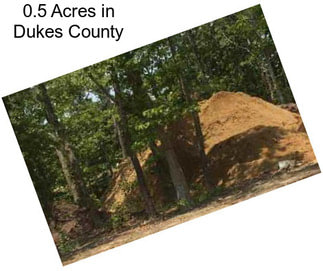0.5 Acres in Dukes County