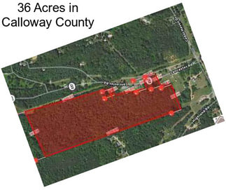 36 Acres in Calloway County
