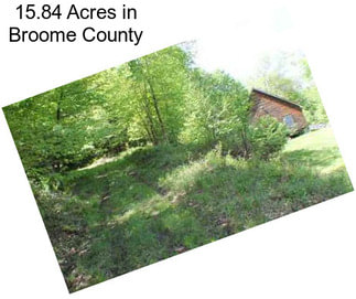 15.84 Acres in Broome County