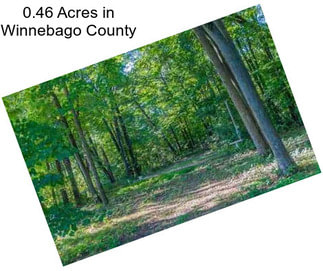 0.46 Acres in Winnebago County