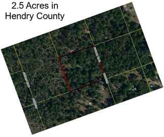 2.5 Acres in Hendry County