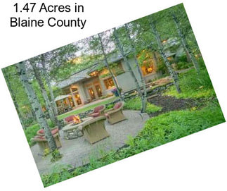 1.47 Acres in Blaine County