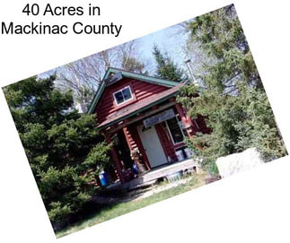 40 Acres in Mackinac County