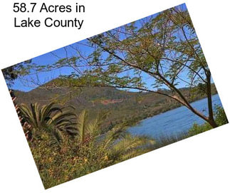 58.7 Acres in Lake County