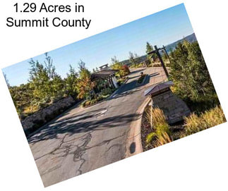 1.29 Acres in Summit County