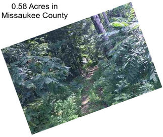 0.58 Acres in Missaukee County